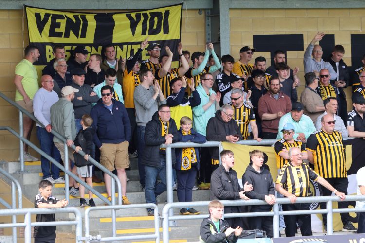 Boston fans celebrate