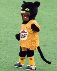 Pilgrim the Panther