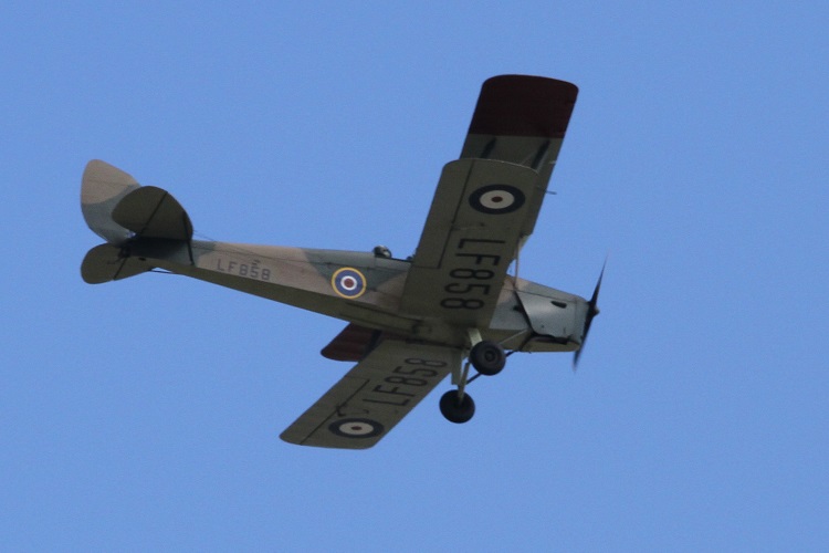 De Havilland DH82 Queen Bee